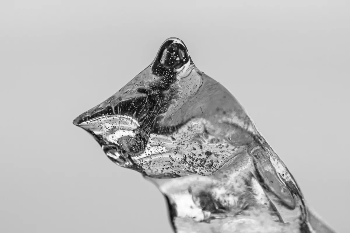 Glacée